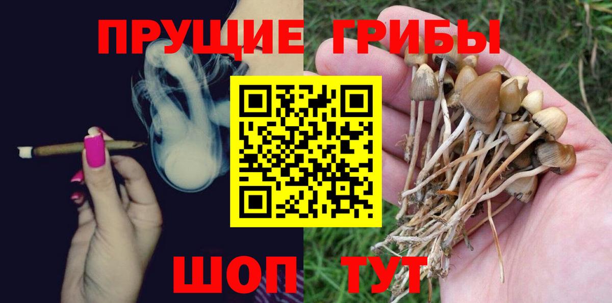 купить   Псилоцибиновые грибы Magic Shrooms  Вход с VPN  Калач-на-Дону 